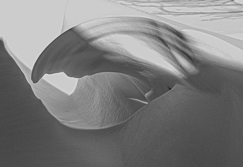 Swirl Snow by Liz Hextal